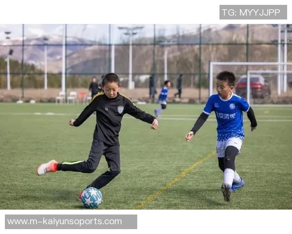 我的足球梦想与成长之路在小学生涯中的精彩瞬间 我的足球梦想与成长之路在小学生涯中的精彩瞬间